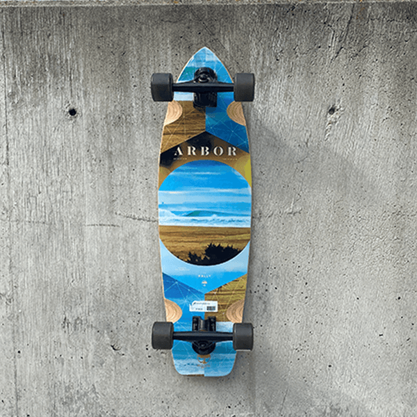 Amazon.com : Arbor Skateboards Dropcruiser Photo, 9.75